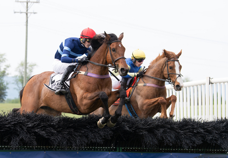 Zabeel Champion left Ziggle Pops early in Grawthmey 31