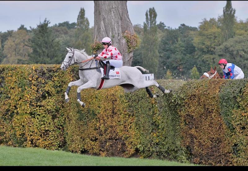 action Pardubichi Davies