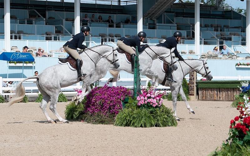 action grey hunteam jumpingDiccio