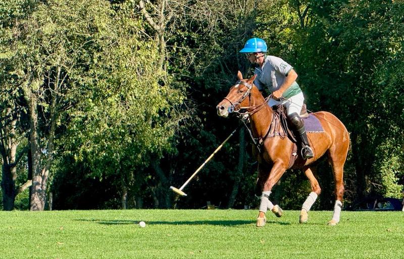 action polo 1 rider Bates