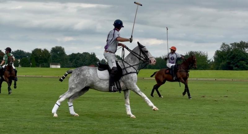 action polo connie hickman