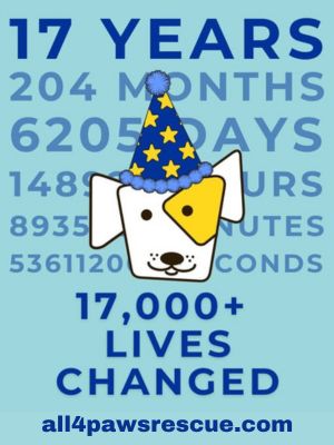 All 4 Paws side ad