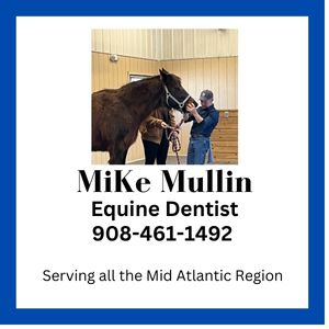 Mike Mullin-dentist