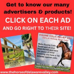 300x300 click on their