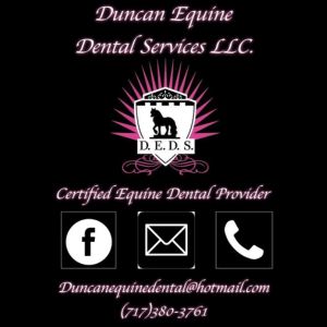 Duncan Equine Dental