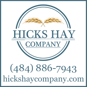 Hicks Hay