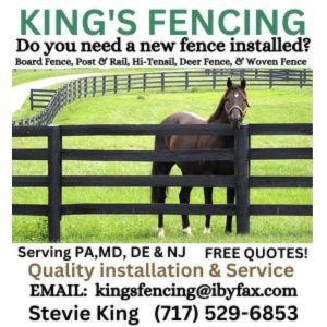 King's Fencing