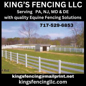 Kings Fencing