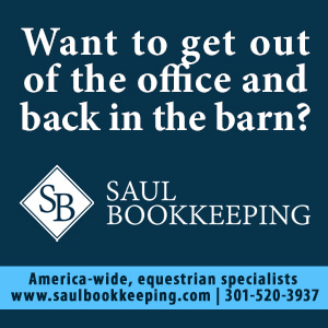 Saul Bookkeeping