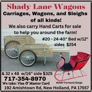 Shady Lane Wagons