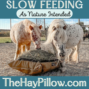 The Hay Pillow April-May