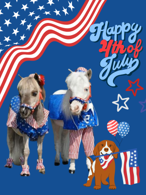 4th of July Promo - 300x300