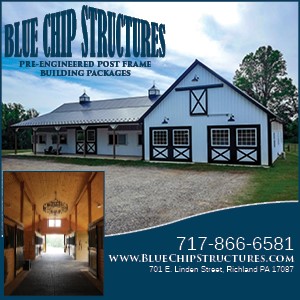 Blue Chip Structures