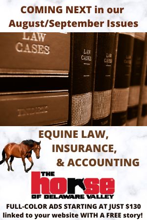 Equine Law, Ins, Acctg PROMO