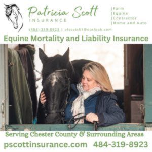 Patricia Scott