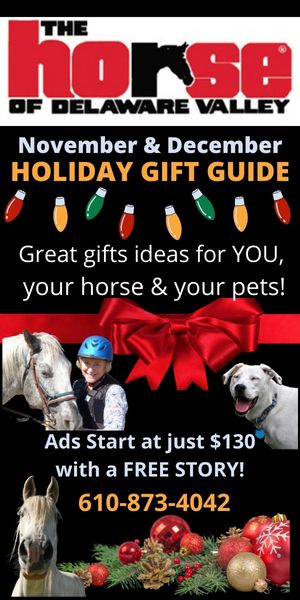 Holiday Gift Guide Promo Ad 2023