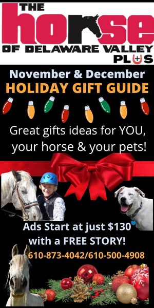 Holiday Gift Guide Promo 2026