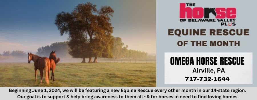 Omega Horse Rescue-Top Banner