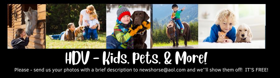 Kids, Pets & More Promo Ad