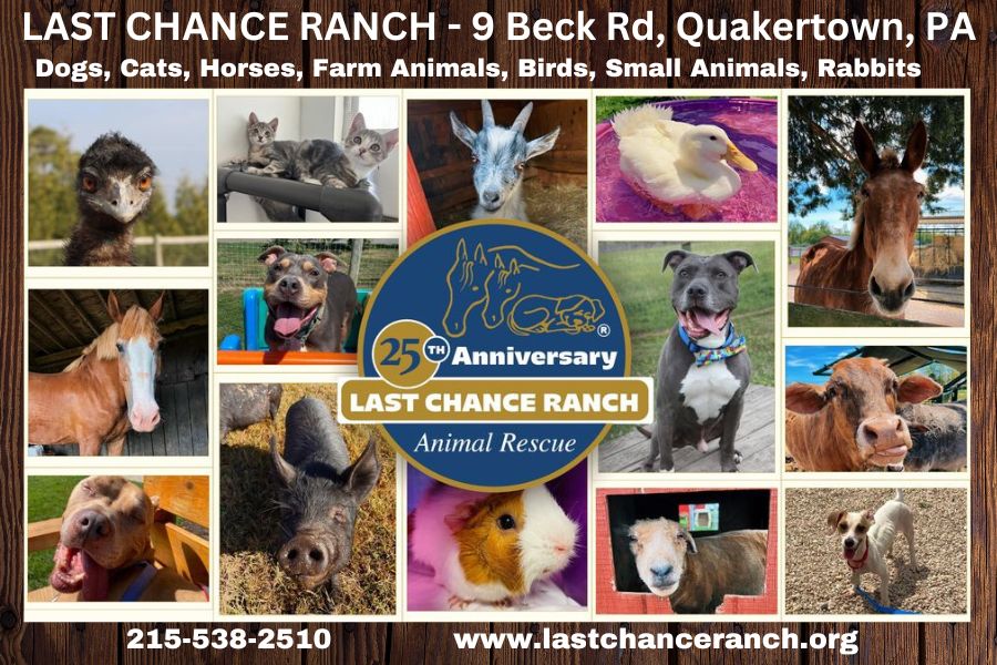 Last Chance Ranch 900 x 600
