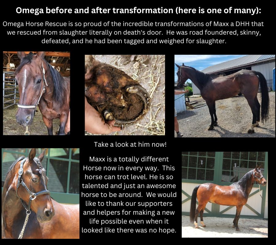 Omega transformation Page2 900 x 800