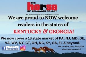 Georgia & Kentucky Promo Ad