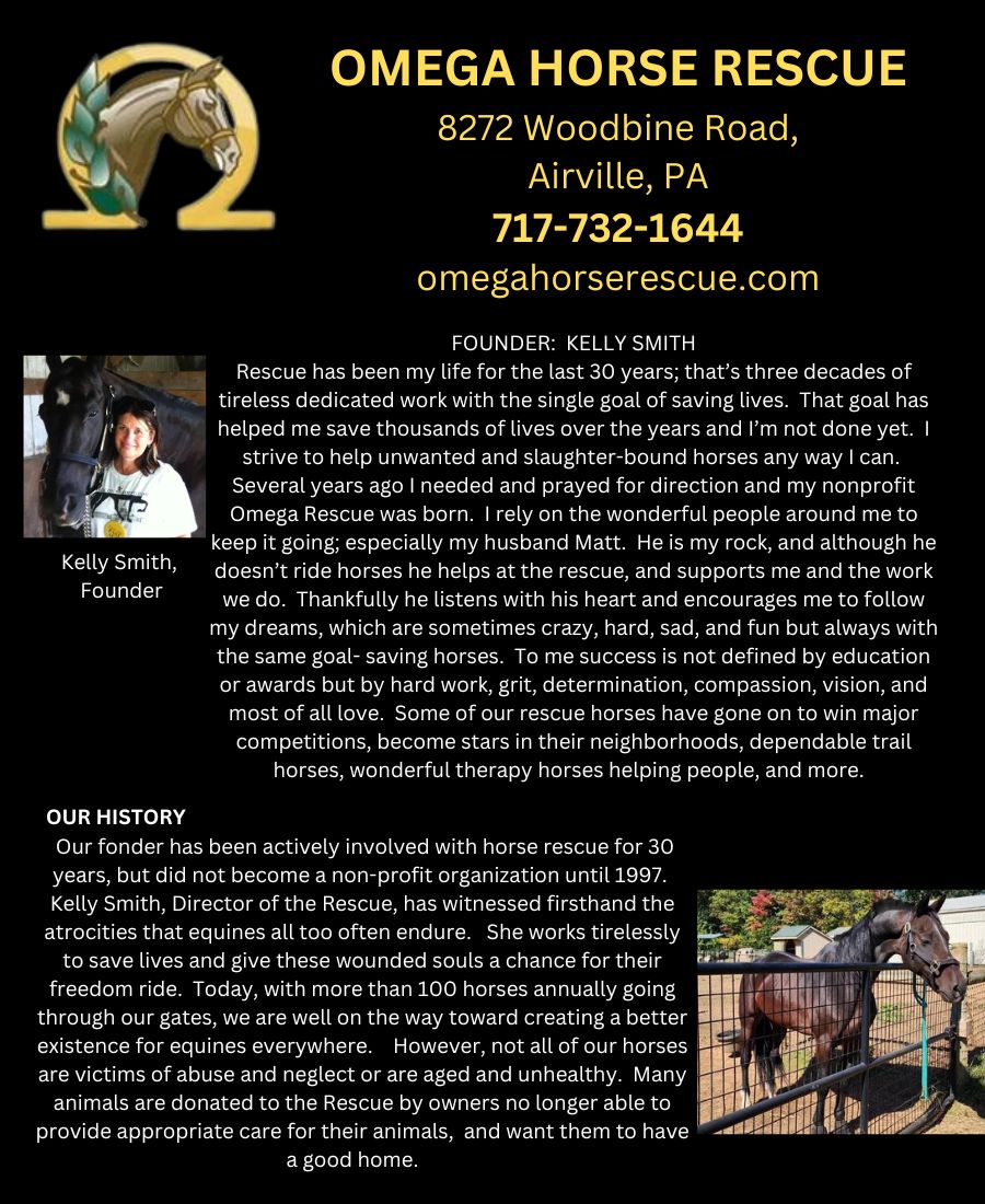 OMEGA HORSE RESCUE Page1 900 x 1100