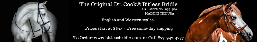 The Original Dr. Cook Bitless Bridle 900x150
