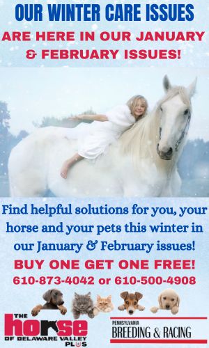 Winter Care Promo 2025