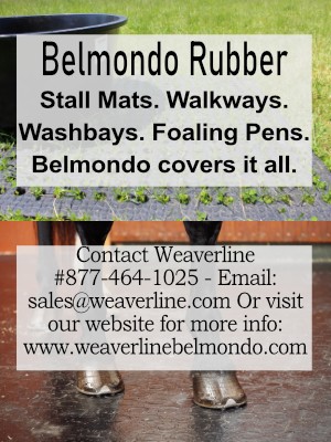 Belmondo Ruber 