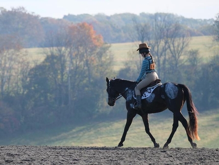 candid bac of girl on horse in mist Marcozzi