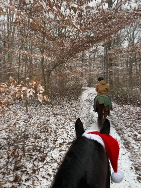 candid backs of riders Scler