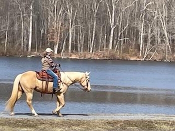 candid girl and palamino on stream Dankaanich