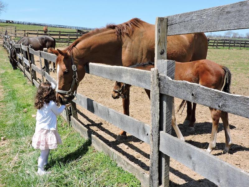 candid girl w hors Jenkins