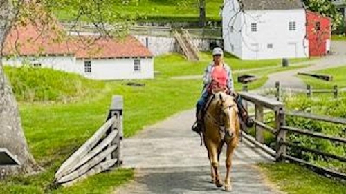 candid persoh oh horse bridge Dankanich