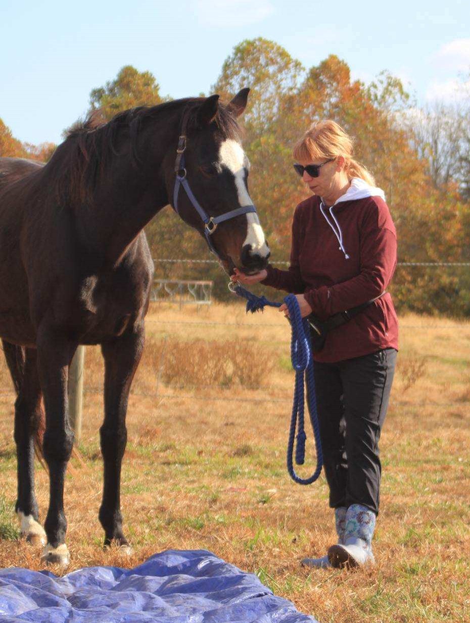 e12b6386 19a0 4221 89dc ff29f000f55c