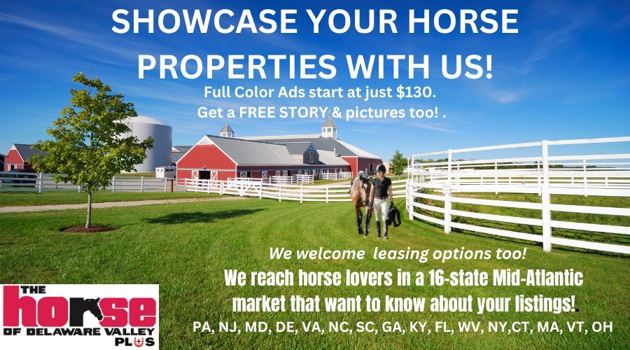 Real Estate Promo Ad