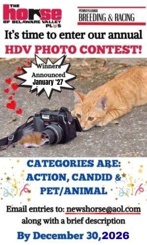 Photo Contest Promo ad 2026