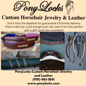 Pony Locks