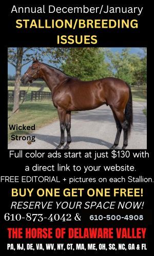 Stallion Promo