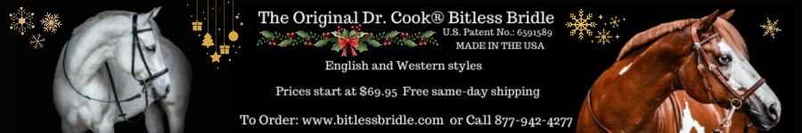 Dr Cook Bitless Briddle
